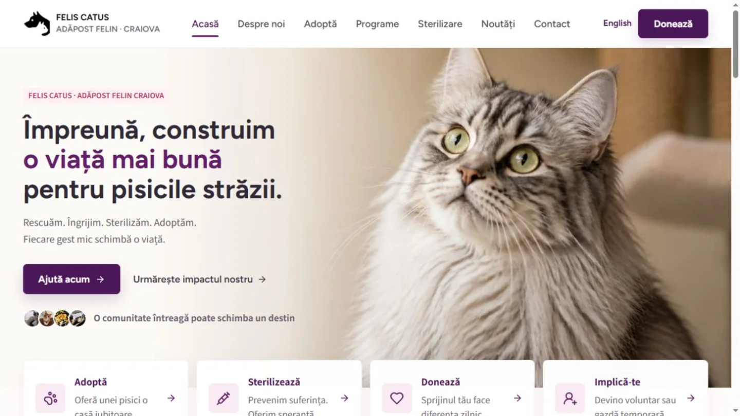 Site Felis Catus pentru un adăpost felin